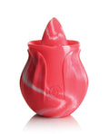 Gossip Cum Into Bloom Licking Rose Pink Twirl