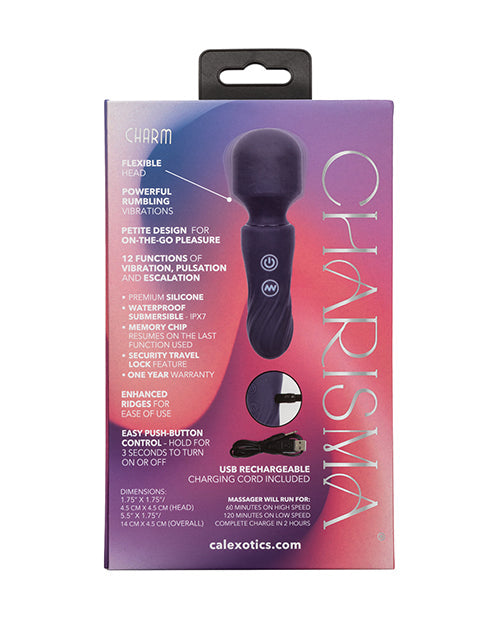 Charisma Charm Wand Massager - Blue