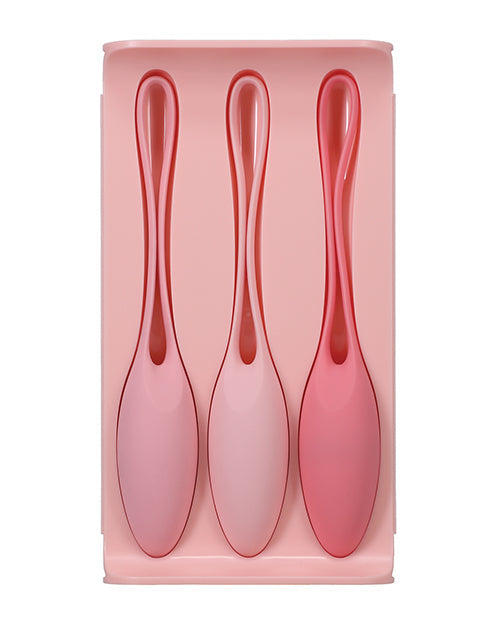 Doc Johnson Kegel Trainer Set In A Bag
